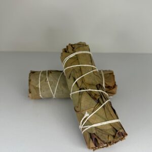 EUCALIPTO 10cm