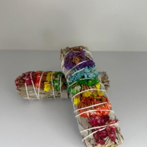 SALVIA chakras 10cm